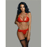 Фото 1: Комплект эротического белья красный L XL
